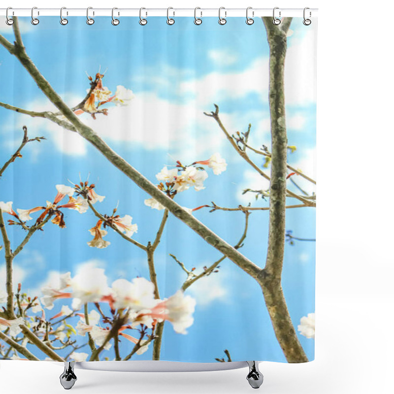 Personality  Cherry Blossoms Blooming Against A Bright Blue Sky. Shower Curtains