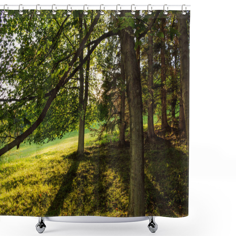 Personality  Autumn Landscape With Autumn Trees In The Park. Autumn Nature -yellowed Autumn Park In Autumn Sunny Weather. Picturesque Autumn View Of Autumn Park. Soft Focus Applied. Autumn Nature In Sunlight Shower Curtains