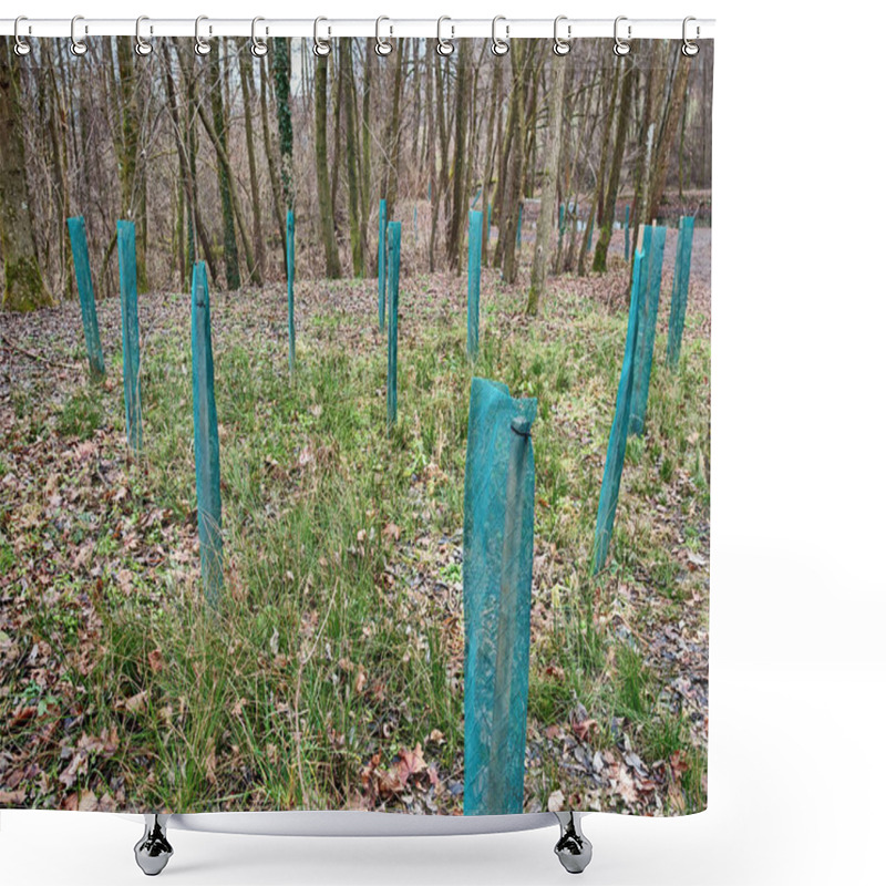 Personality  Reforestation Or Reafforestation In A Forest, Tree Planting And Growing Shower Curtains