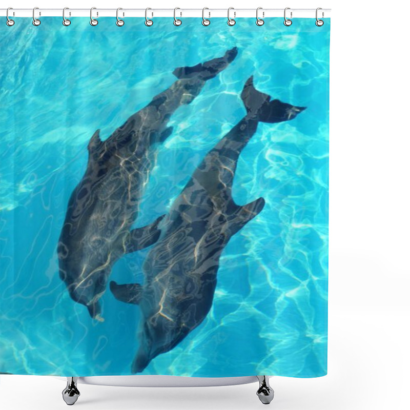 Personality  Dolphins Couple Top High Angle View Turquoise Water Shower Curtains