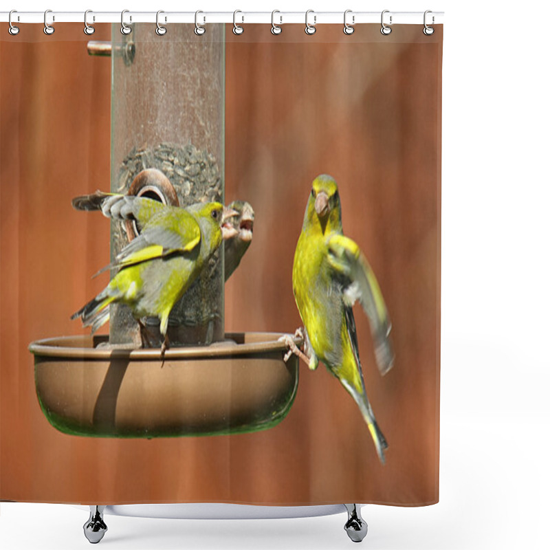 Personality  Fight For Food Shower Curtains