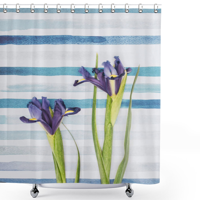 Personality  Iris Sibirica Flowers Over Striped Aquarelle Background Shower Curtains