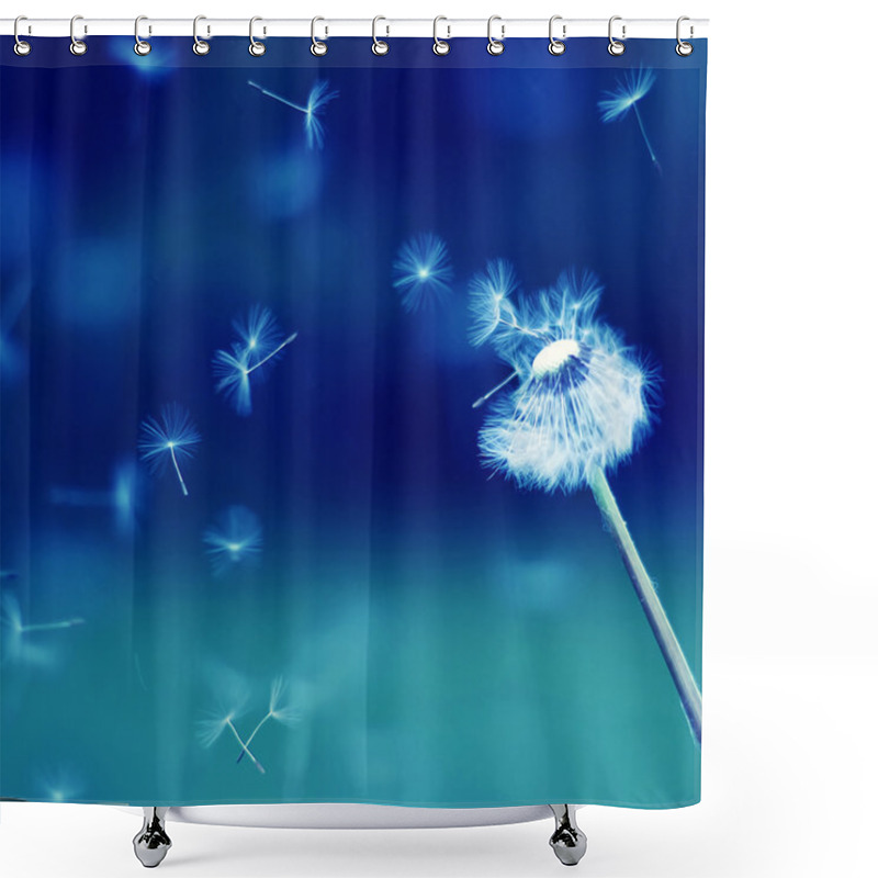 Personality  Flying Parachutes From Dandelion Shower Curtains