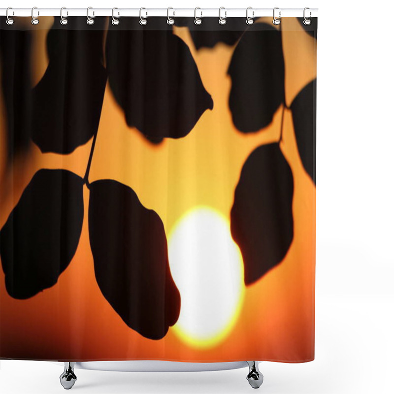 Personality  Silhouette Of Carob (Ceratonia Siliqua) Leaves At Sunset Shower Curtains