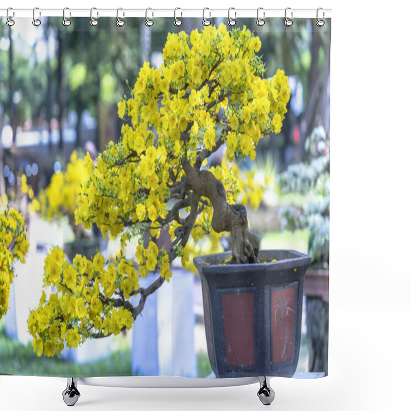 Personality  Apricot Bonsai Tree Blooming With Yellow Flowering Branches Curving Create Unique Beauty. This Is A Special Wrong Tree Symbolizes Luck, Prosperity In Spring Vietnam Lunar New Year Shower Curtains