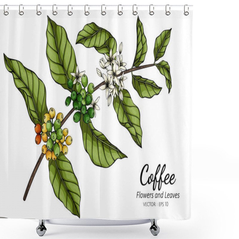 Personality  Coffee Flower And Leaf Drawing Illustration With Line Art On White Backgrounds. Shower Curtains