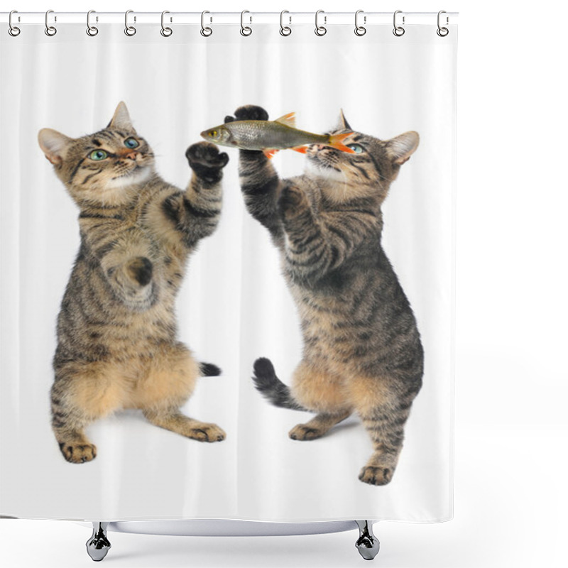 Personality  Cats Shower Curtains