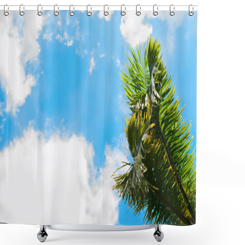 Personality  Leaves Of Palm Trees On Blue Sky. Natural Background Shower Curtains