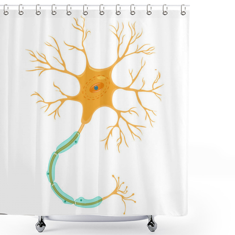 Personality  Neuron Vector Illustration Isolated On White Background. Shower Curtains