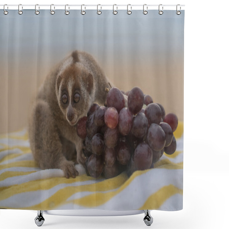 Personality  Slow Loris Monkey Sitting On The Towel With Grapes Isolated On The Beach. Shower Curtains