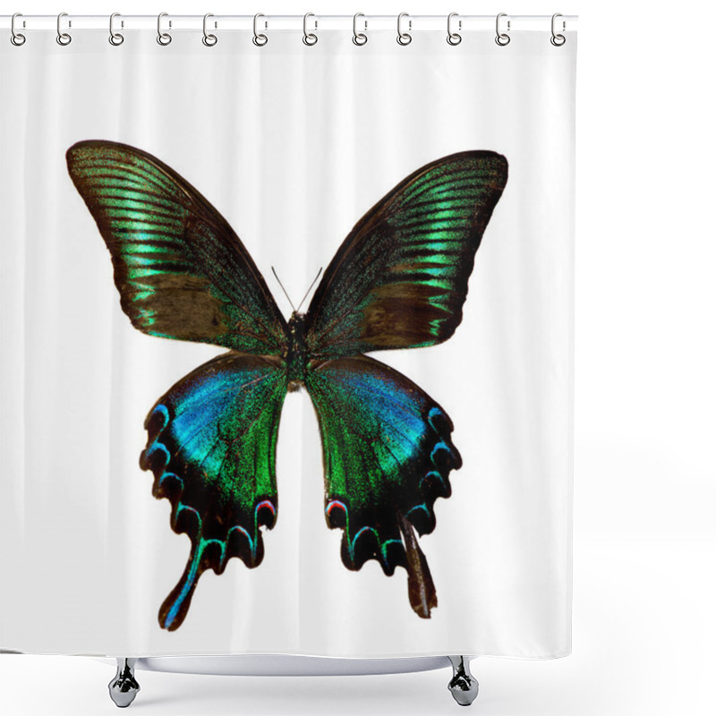 Personality  Butterfly Shower Curtains