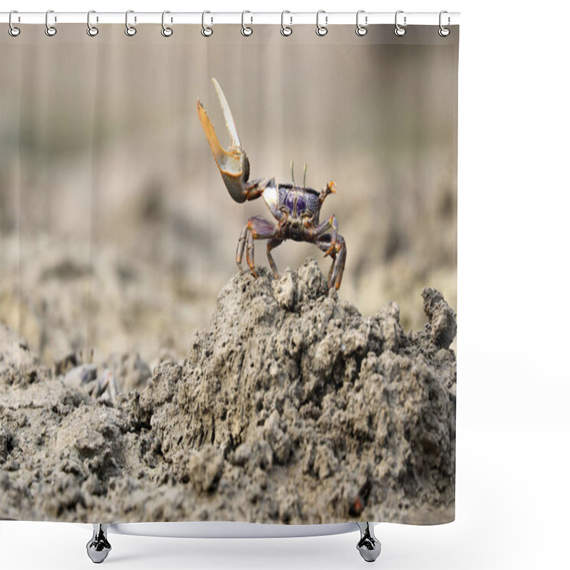 Personality  Uca Tangeri Crab Wildlife Concept Shower Curtains