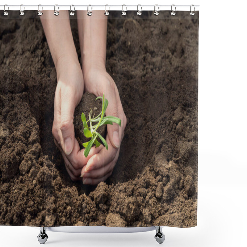 Personality  Female Hands Plant Seedlings Of Cornflower Flowers In The Ground Shower Curtains