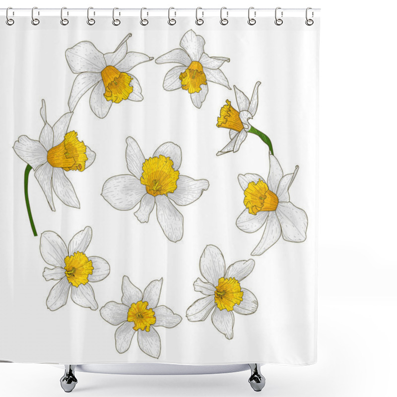 Personality  Beautiful Blooming Daffodil Flower Set.Buds With White And Yellow Petals For The Wedding And Romantic Spring Mood Decor.Floral Collection In Doodle Style.Color Vector Illustration. Isolated On White Shower Curtains