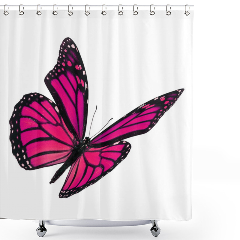 Personality  Beautiful Pink Monarch Butterfly Shower Curtains