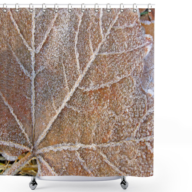 Personality  Abstract Old Frosted Leaf Covered With Ice, Winter Details. Shower Curtains