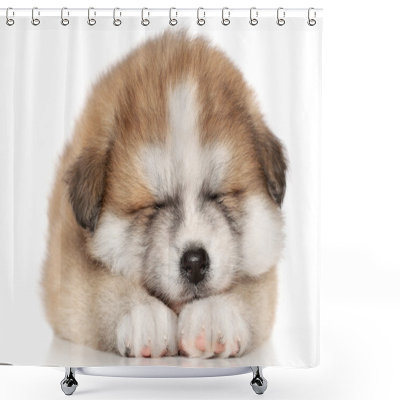 Personality  Akita Inu Puppy Sleep Shower Curtains