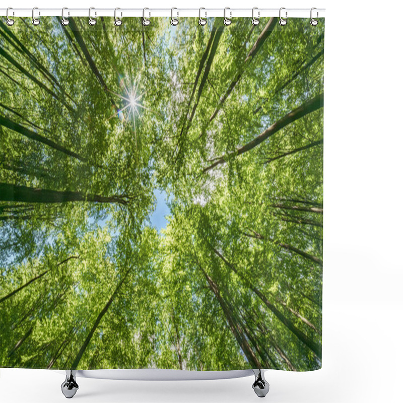 Personality  A Vibrant View From Below A Dense Green Canopy Where The Sunlight Softly Filters Through The Leaves Above Shower Curtains