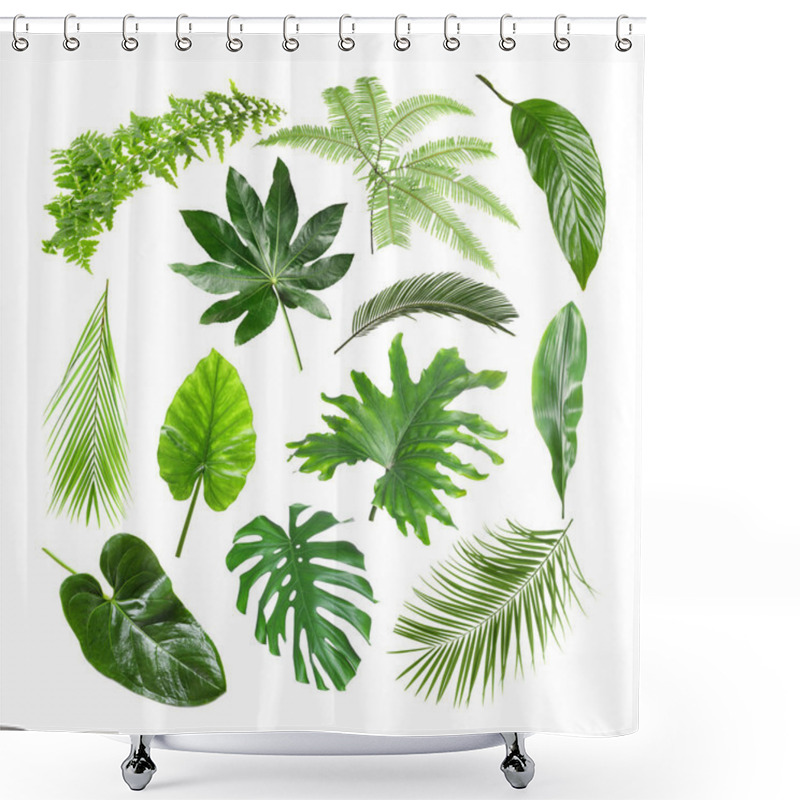 Personality  Set Of Different Tropical Leaves On White Background Shower Curtains