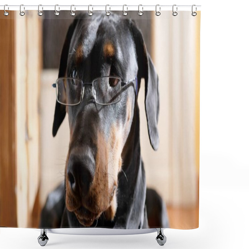 Personality  Funny Thoughtful Dog Wearing Eyeglasses Shower Curtains