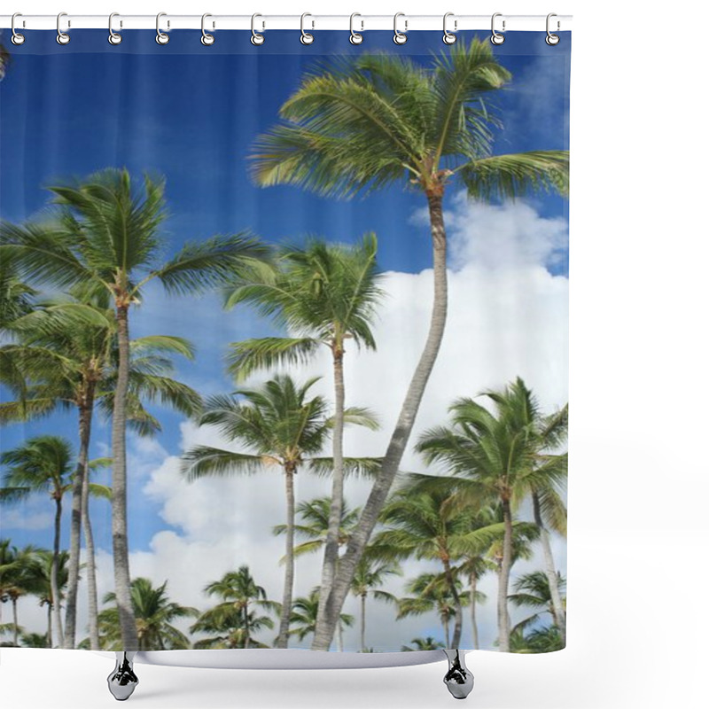 Personality  Exotic Coconut Palm Trees On The Beach Shower Curtains