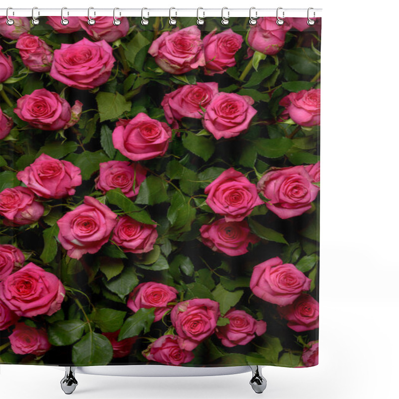 Personality  Rose Bush Shower Curtains