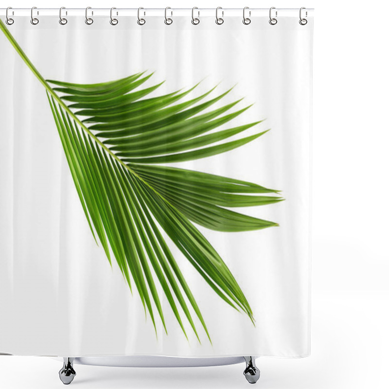 Personality  Coconut Leaves Or Coconut Fronds, Green Plam Leaves, Tropical Foliage Isolated On White Background With Clipping Path Shower Curtains