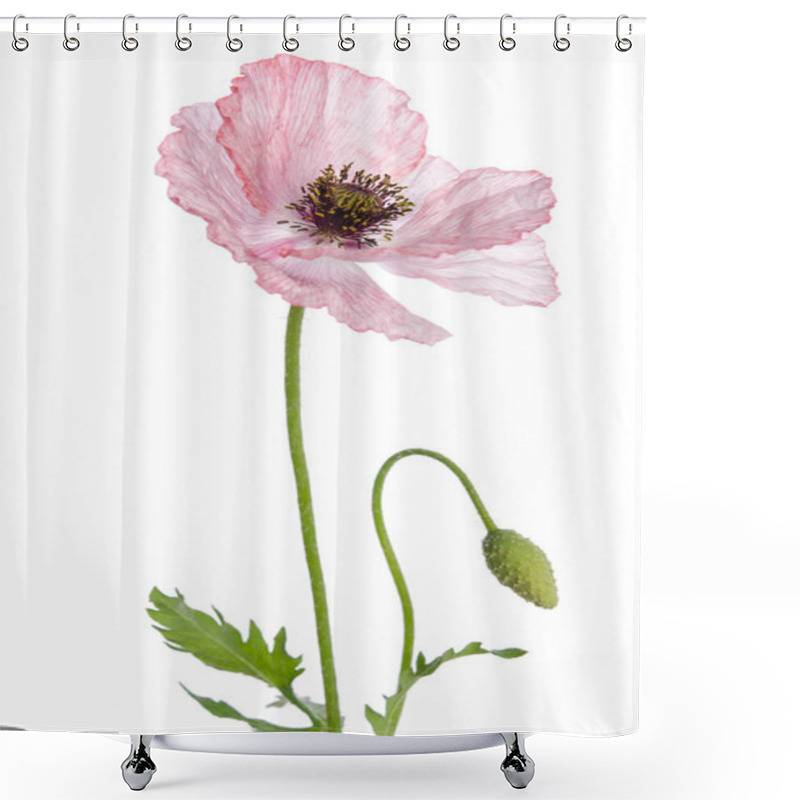 Personality  Single Poppy Isolated On White Background. Shower Curtains