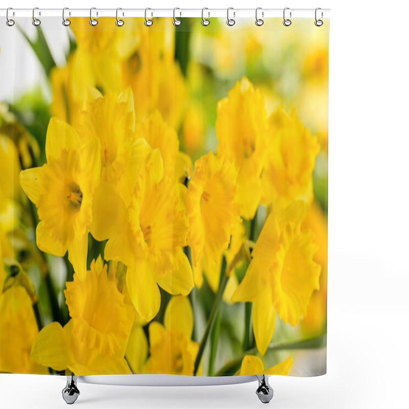 Personality  Detail Of Yellow Narcissus Spring Flower Shower Curtains