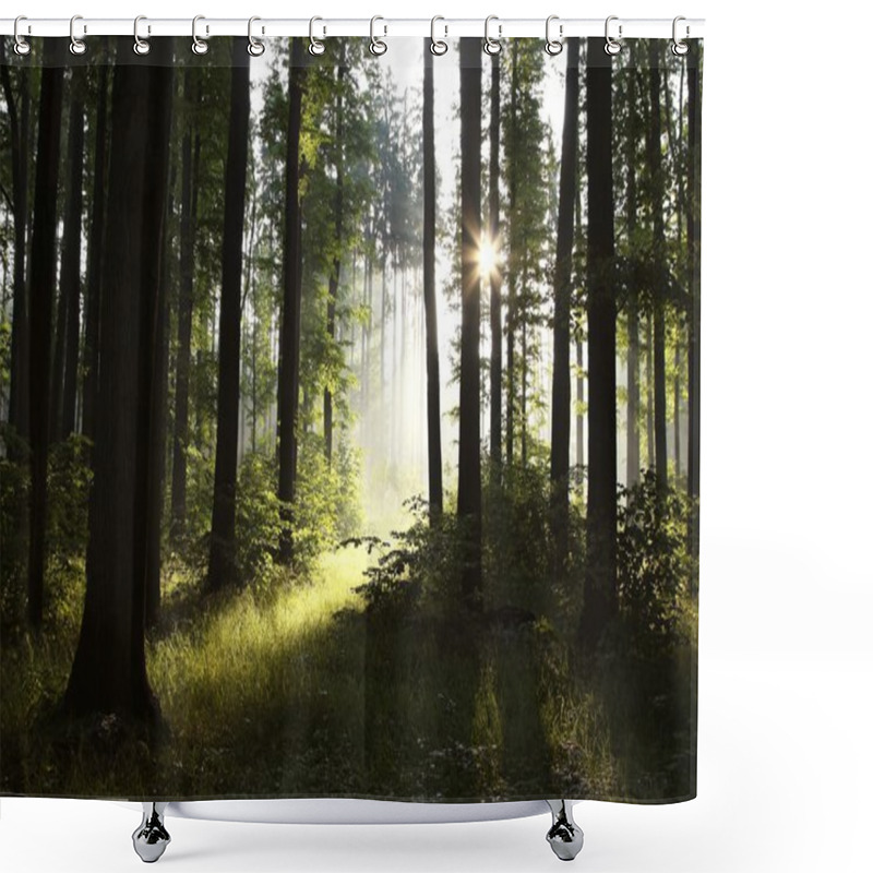 Personality  Bright Light Entering The Deciduous Forest On A Misty Spring Morning. Shower Curtains