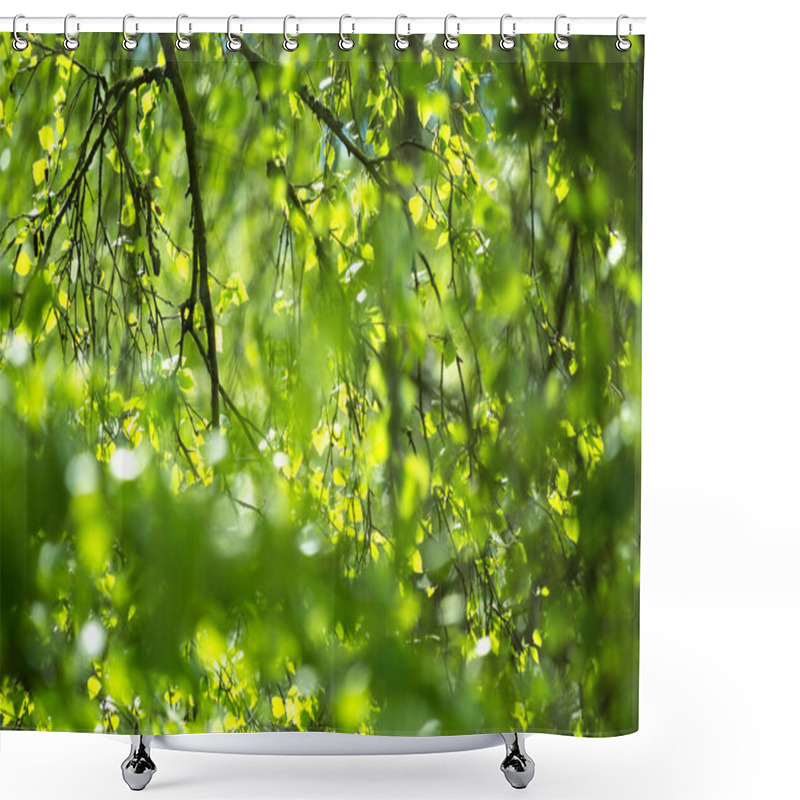 Personality  Beautiful Spring Leaves With Bokeh Lights In The Spring Forest, Natural Backgound For Spring Projects.; Shower Curtains