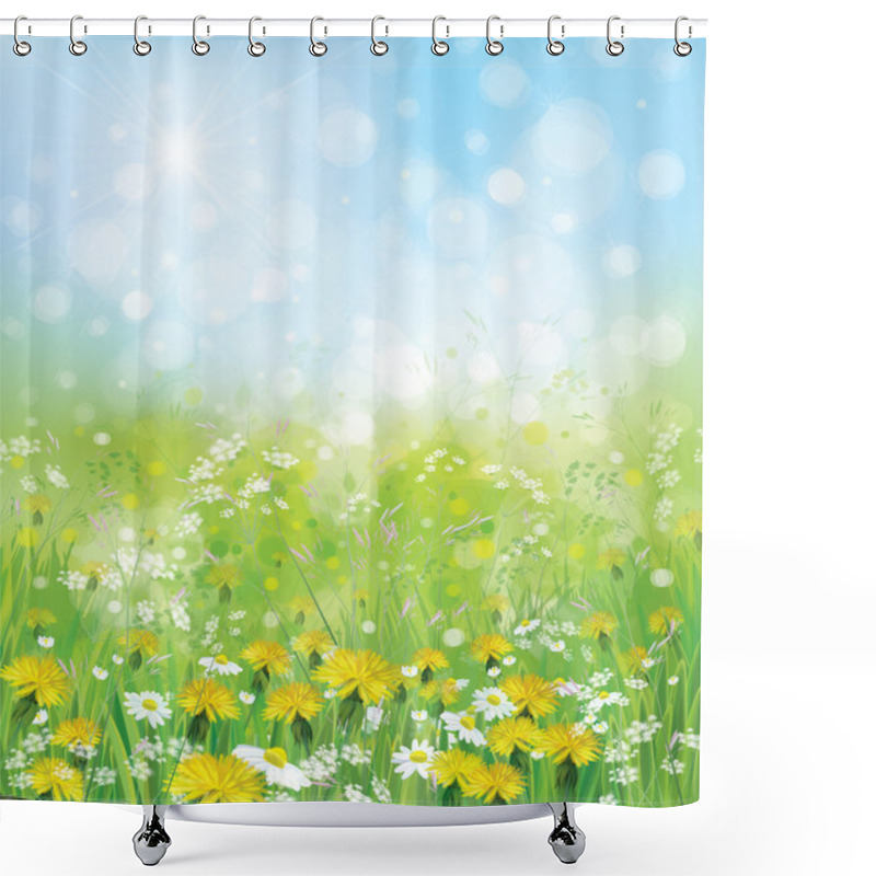 Personality  Nature Background With Chamomiles And Dandelions Shower Curtains