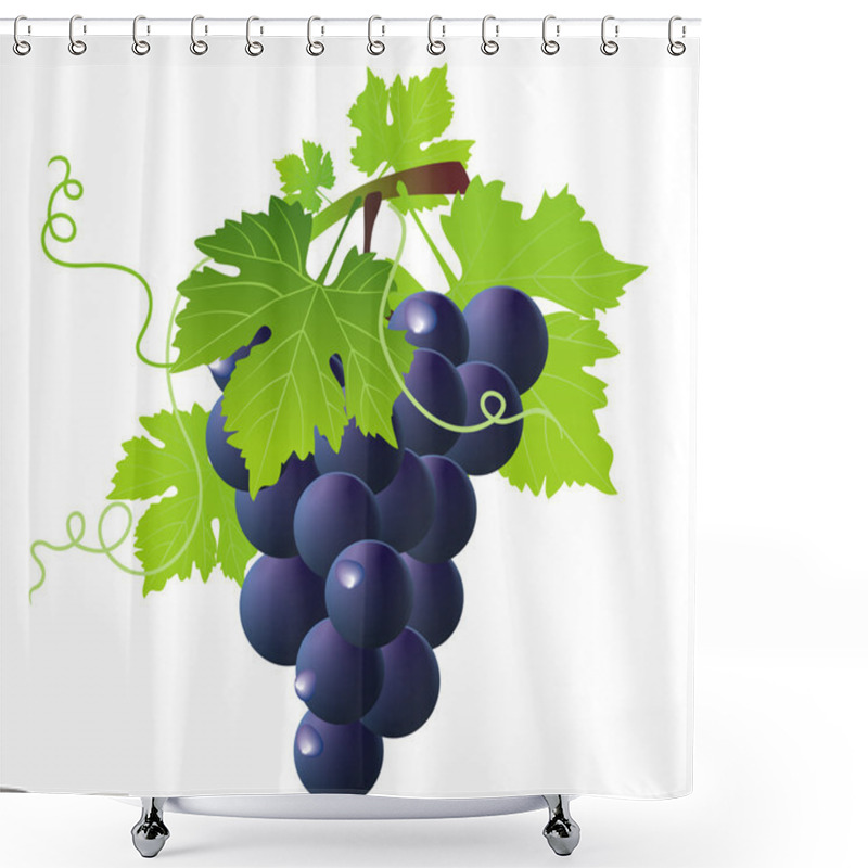 Personality  Green Wine And Bunch Of Blue Grapes Shower Curtains