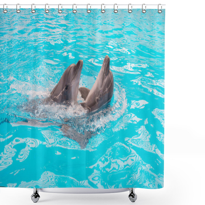 Personality  Dolphins Couple Swimming In Blue Pool Water Shower Curtains