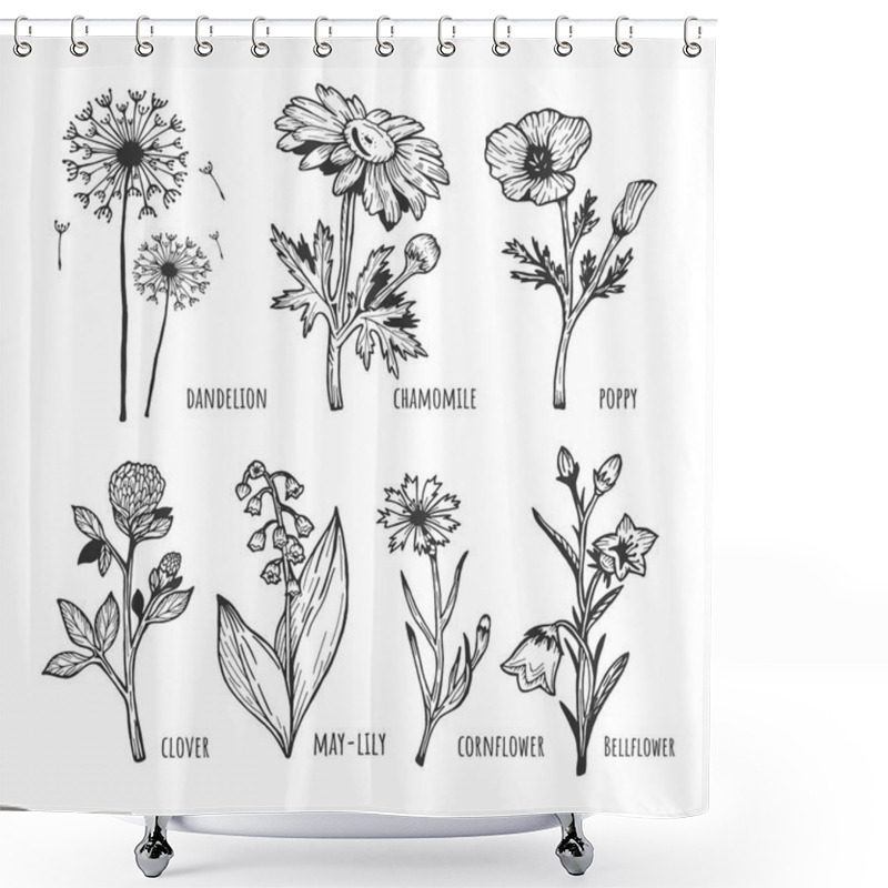 Personality  Vector Illustration Of A Different Field Spring Flower Set. Dandelion, Chamomile, Poppy, Clover, Lilies Of The Valley, Cornflower, Bell. Hand Drawn Sketchy Doodle Outline Style. Shower Curtains