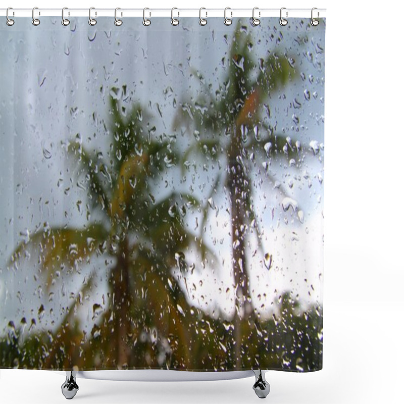 Personality  Hurricane Tropical Storm Palm Trees From Inside Car Shower Curtains