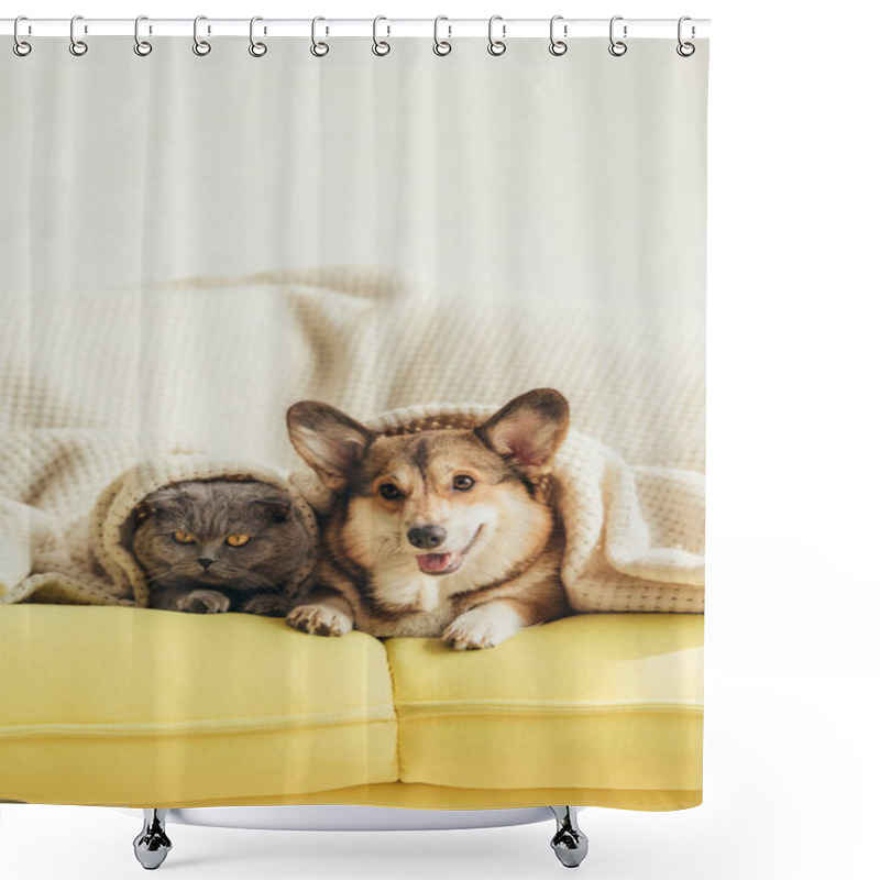 Personality  Cute Welsh Corgi Dog And Cat Lying Under Blanket On Sofa  Shower Curtains