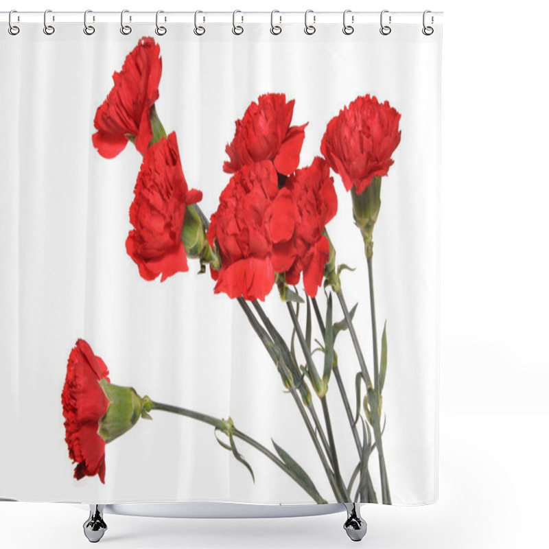 Personality  Bouquet Of Carnations Shower Curtains