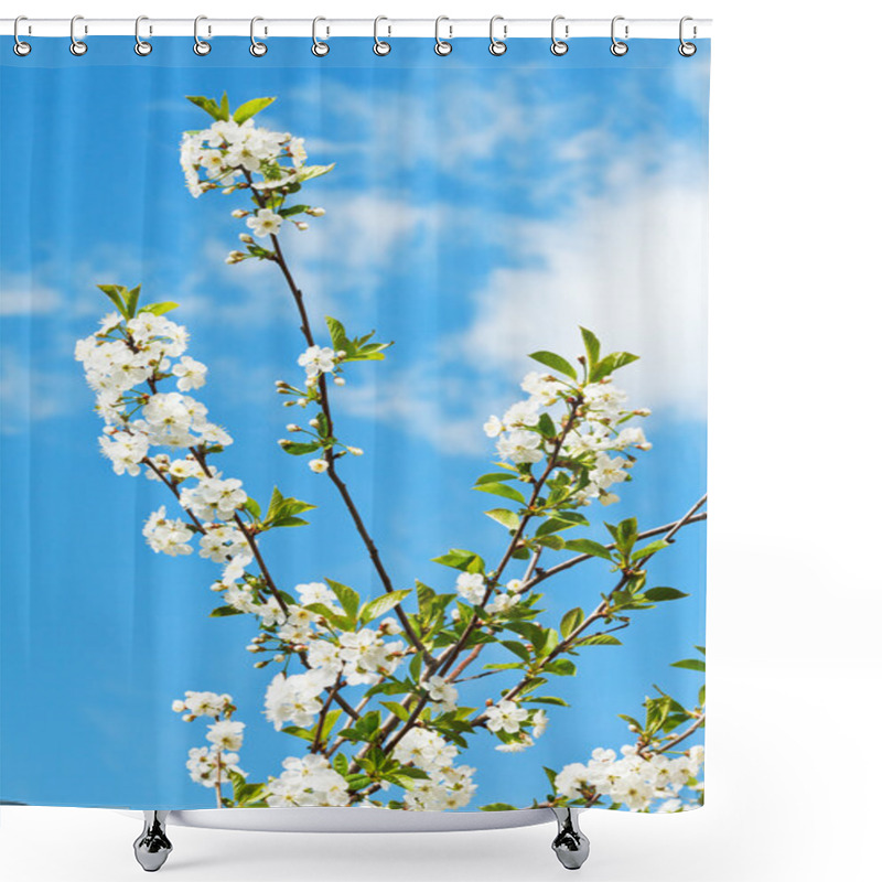 Personality  Few Twigs Of Cherry Blossoms Shower Curtains