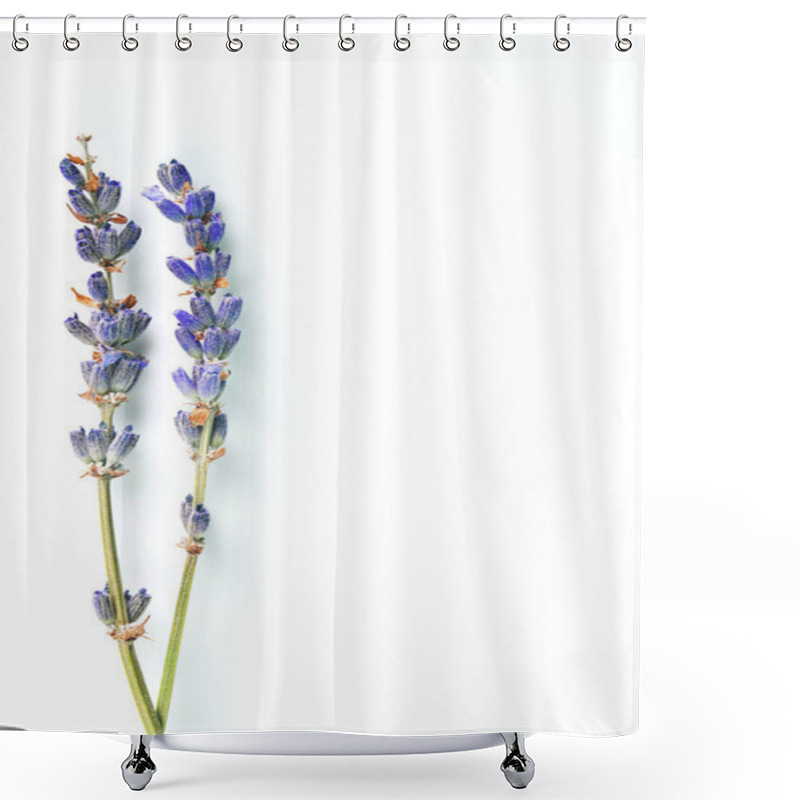 Personality  Violet Lavender Flowers Arranged On White Background. Top View, Flat Lay. Minimal Concept. Shower Curtains