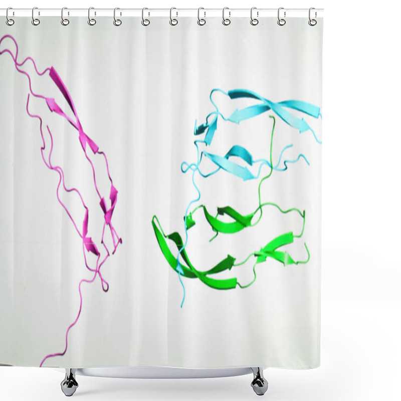 Personality  Research In The Field Of Proteomics. New Technologies For The Study Of Biological Macromolecules. Shower Curtains