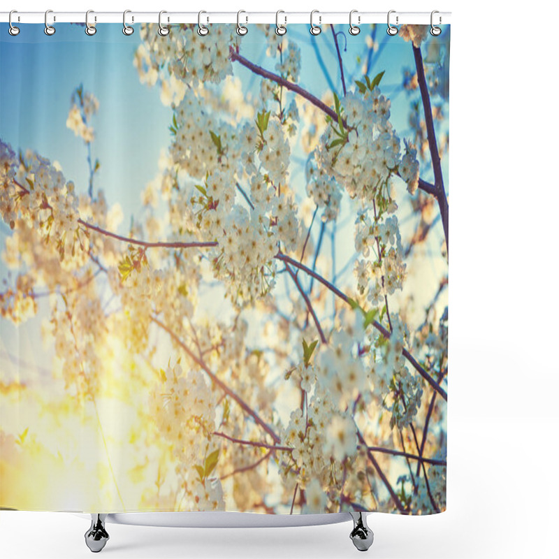 Personality  Blossom Of Cherry Tree Shower Curtains