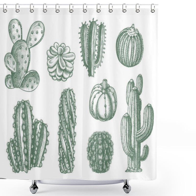 Personality  Different Cactus Succulent Plants, Vector Sketch Shower Curtains