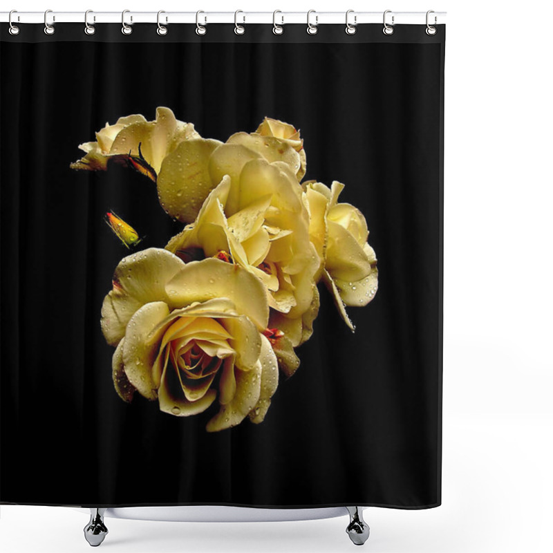 Personality  Closeup View Of Beautiful Flower Petals Shower Curtains