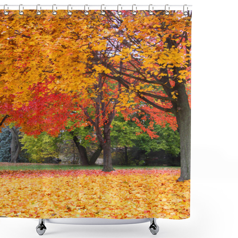 Personality  Tunnel Of Autumn Trees Shower Curtains