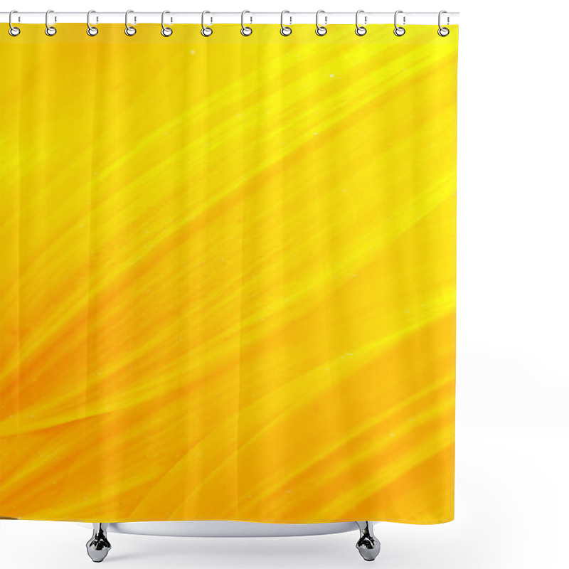 Personality  Sunflower Petals Shower Curtains