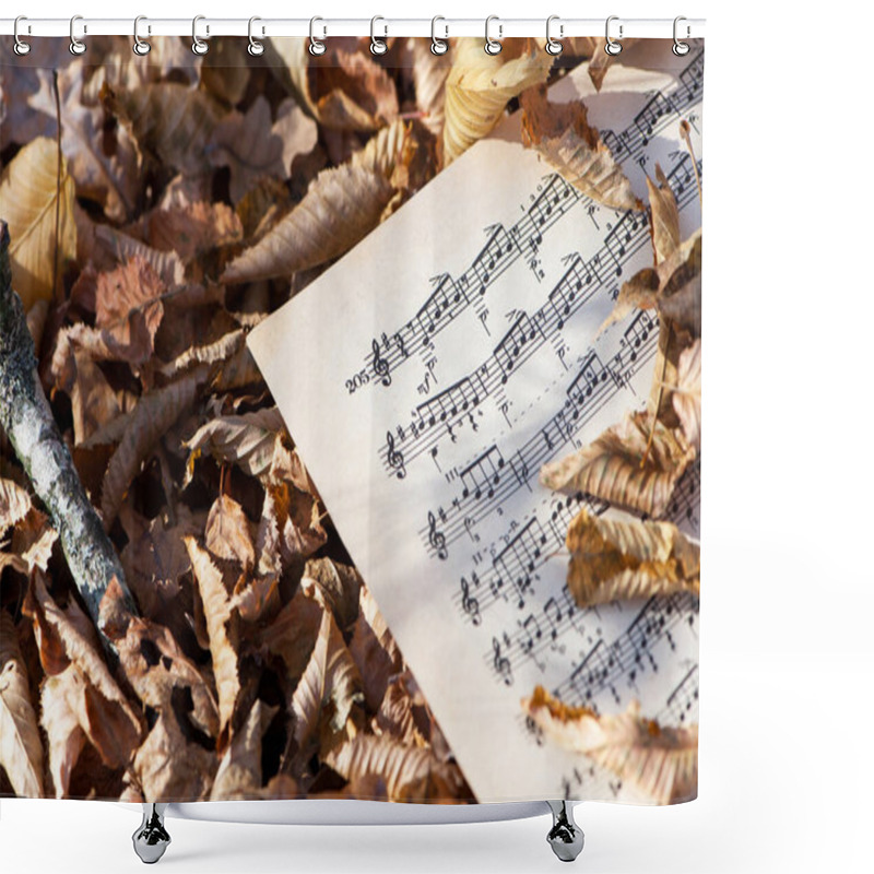 Personality  Musical Notes. Musical Notes And Leaves. Beautiful Autumn Background. Concept Of Creativity, Autumn Melody. Dry Leaves In A Park Or Garden, Paper Sheet With Musical Notes. Close-up Shower Curtains