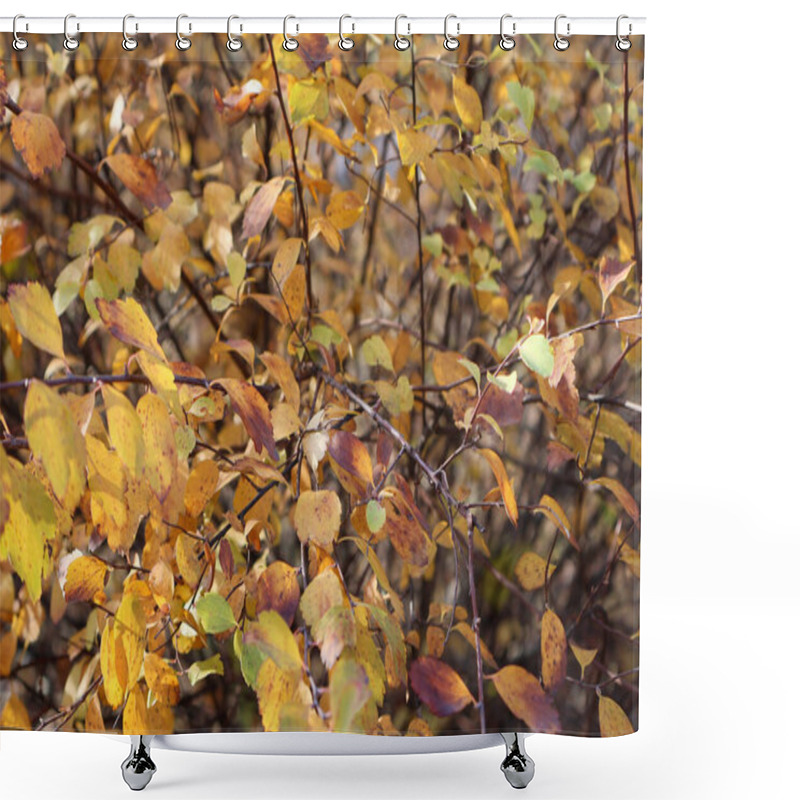 Personality  A Close-up View Of Autumn Branches Adorned With Yellow, Orange, And Brown Leaves, Capturing The Vibrant Colors Of The Fall Season Shower Curtains