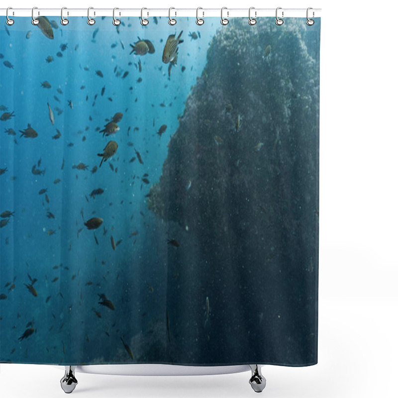 Personality  Shoal Of Fish Underwater In The Mediterranean Sea, Sarpa Salpa Fish, Natural Scene, Benidorm, Spain. Travel, Underwater Concept Shower Curtains