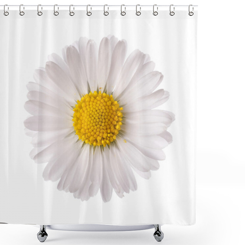 Personality  White Daisy Flower Shower Curtains